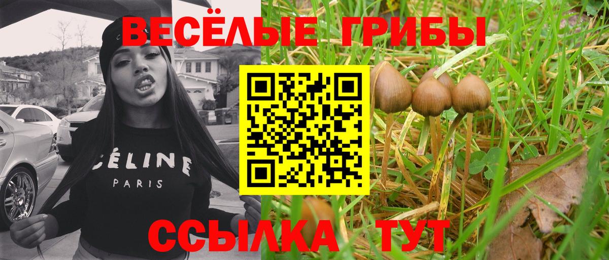 Псилоцибиновые грибы Psilocybe Большой Камень
