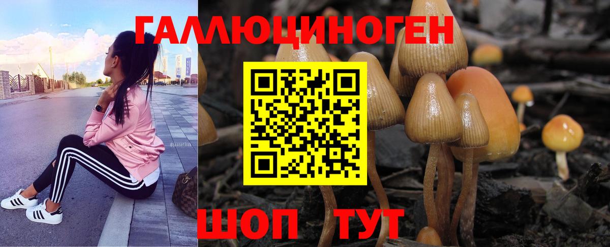 Большой Камень  Псилоцибиновые грибы Psilocybe  Галлюциногенные грибы ЛСД  где найти наркотики  Вход с VPN 